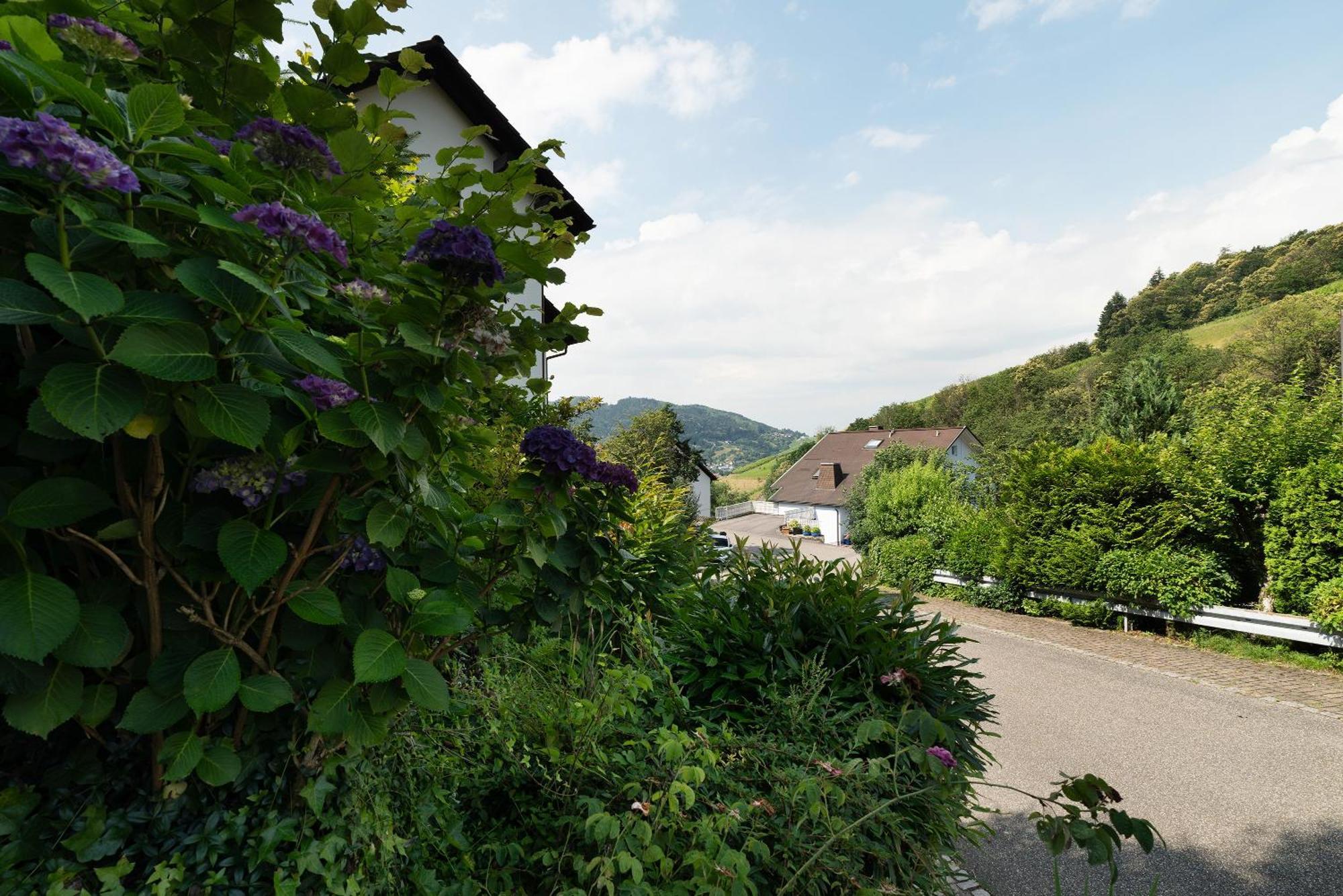 Ferienwohnung Wintereck 布勒塔尔 外观 照片
